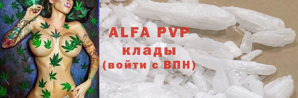 spice Вяземский