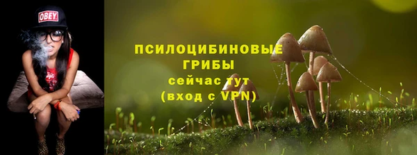 мдпв Вязьма