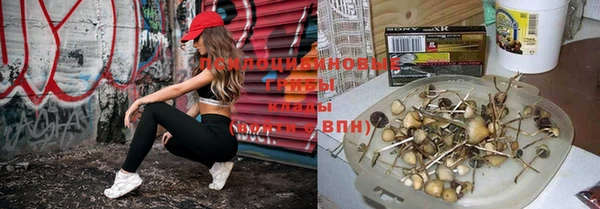 spice Вяземский