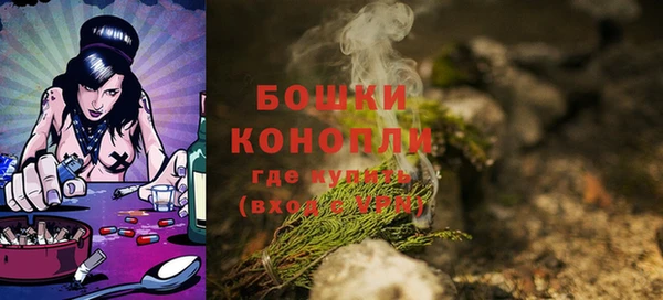 мдпв Вязьма