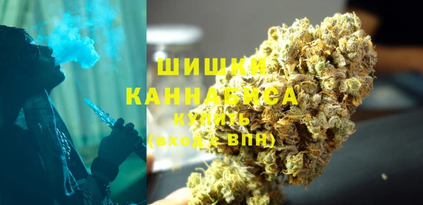 spice Вяземский