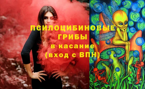 мдпв Вязьма