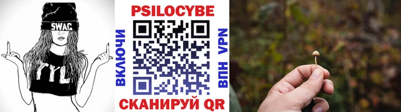 Псилоцибиновые грибы Psilocybine cubensis  Купить закладки  Кировград 